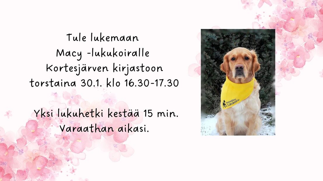 Tule lukemaan Macy -lukukoiralle Kortesjärven kirjastoon torstaina 30.1. klo 16.30-17.30. Yksi lukuhetki kestää n. 15 minuuttia. Varaathan aikasi Kortesjärven kirjastosta!