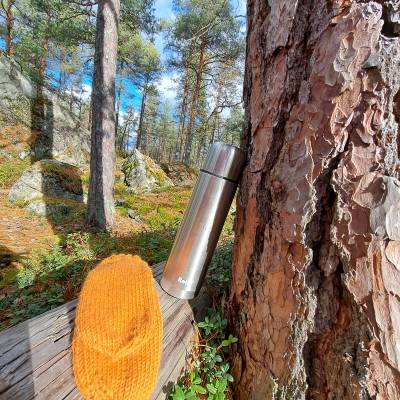 Hopeanvärinen termospullo nojaa männynrunkoon, vieressä oranssit lapaset, taustalla mäntymetsä ja sininen taivas.