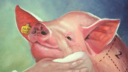 Vihdoinkin - Limppu Witick